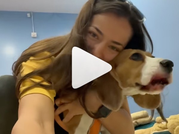Influencer Visits Pet Haven Riyadh: The Best Place to Leave Your Dog When You&nbsp;Travel