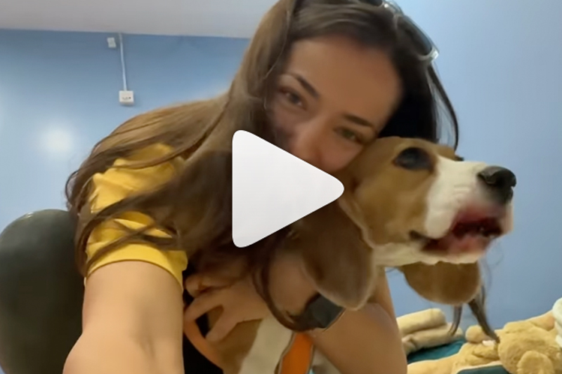Influencer Visits Pet Haven Riyadh: The Best Place to Leave Your Dog When You&nbsp;Travel